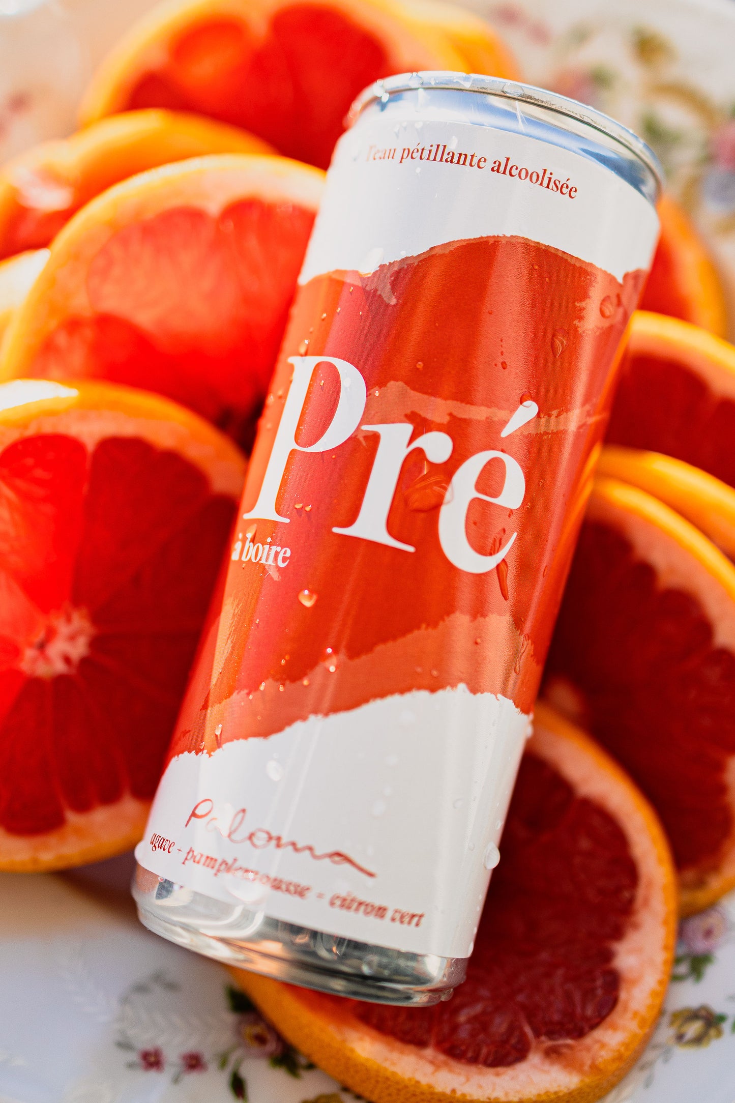 Paloma - 12 pack